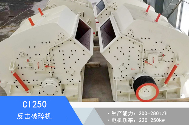 CI250��ڏ���������C