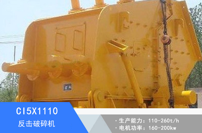 CI5X1110��������C(j��)