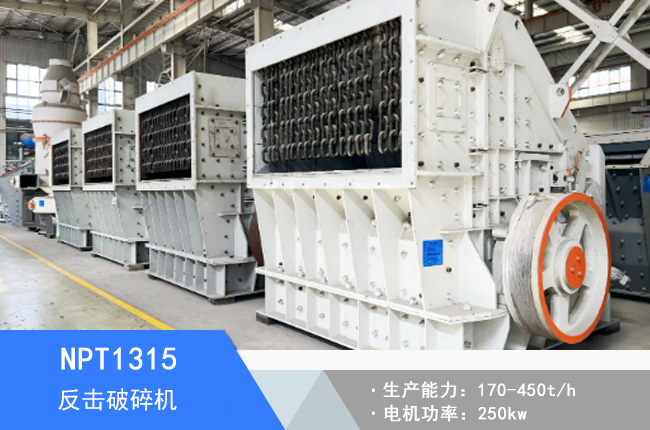 NPT1315�W�淴������C(j��)