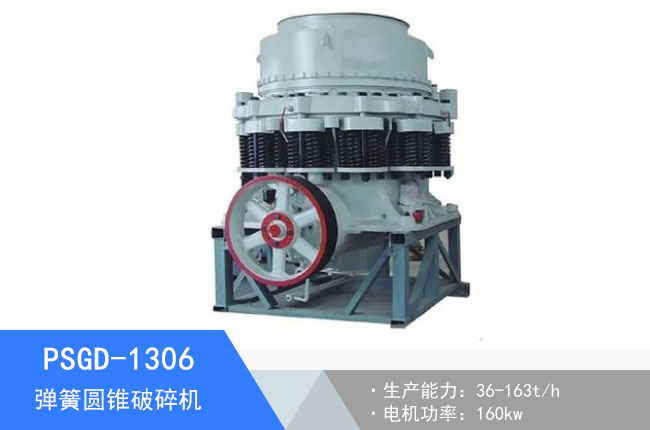 PSGD-1306���ɈA�F����C(j��)